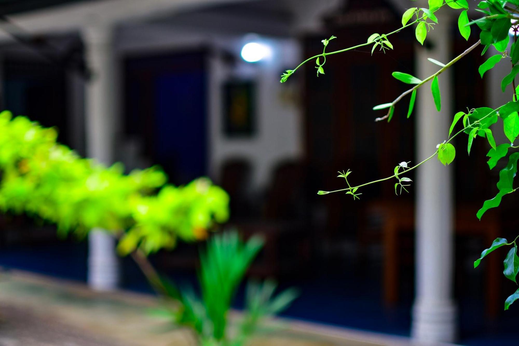 Tourist Holiday Inn Dambulla Exterior foto